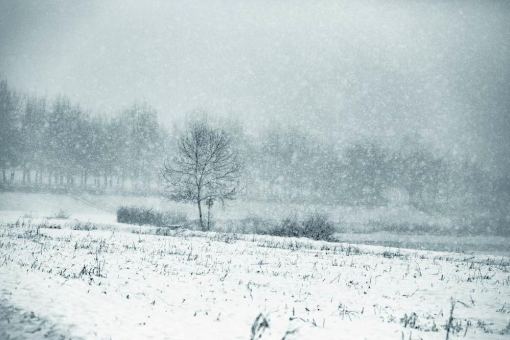 겨울편지 (Winter Letter)